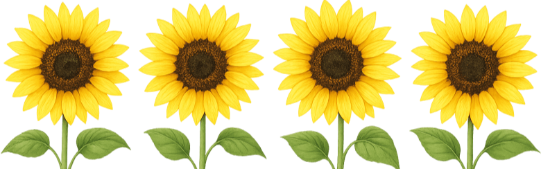 --------------------------------------------------------